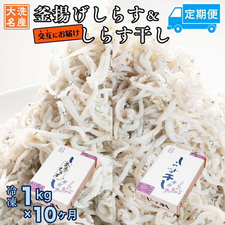 【ふるさと納税】釜揚げしらす しらす干し 交互 定期便 (1kg×10か月) 天然 ふっくら 大洗 名産 しらす シラス 魚 さかな 魚介 離乳食