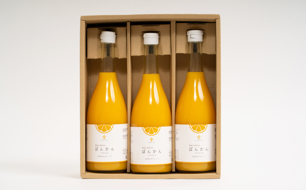 無添加 果汁100％ ぽんかんジュース 720ml×3本入【えひめの町（超）推し！（愛南町）】（572）