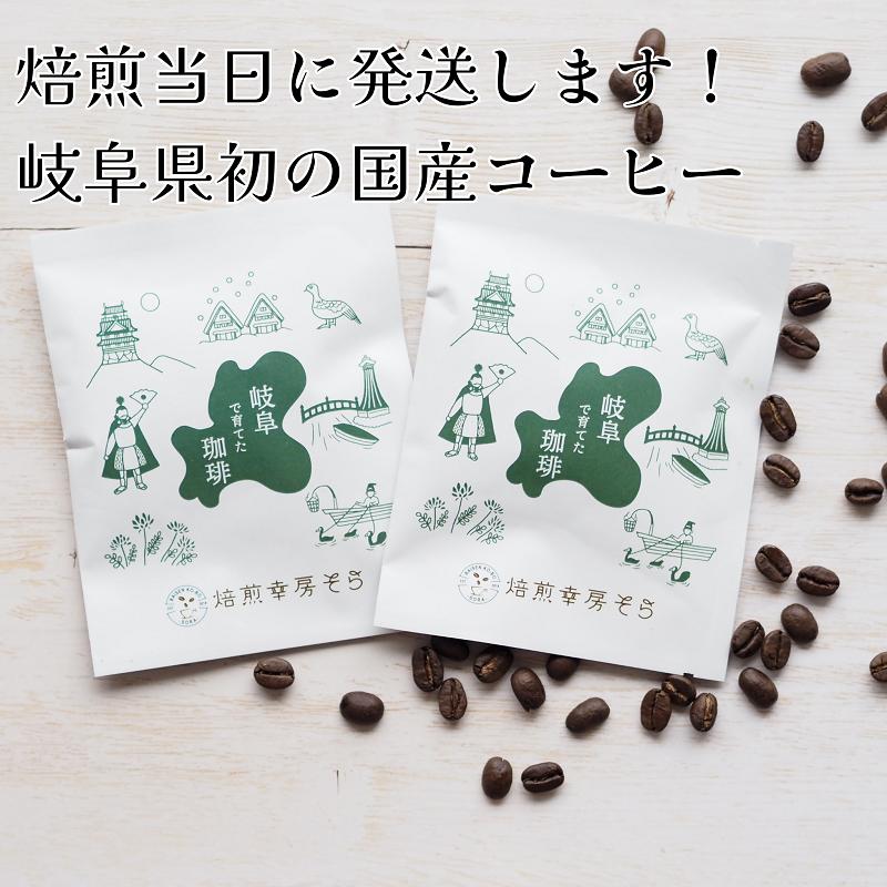 
            【岐阜県初 国産コーヒー】岐阜県産コーヒー豆 10g×2袋(2杯分) 焙煎当日に発送！
          