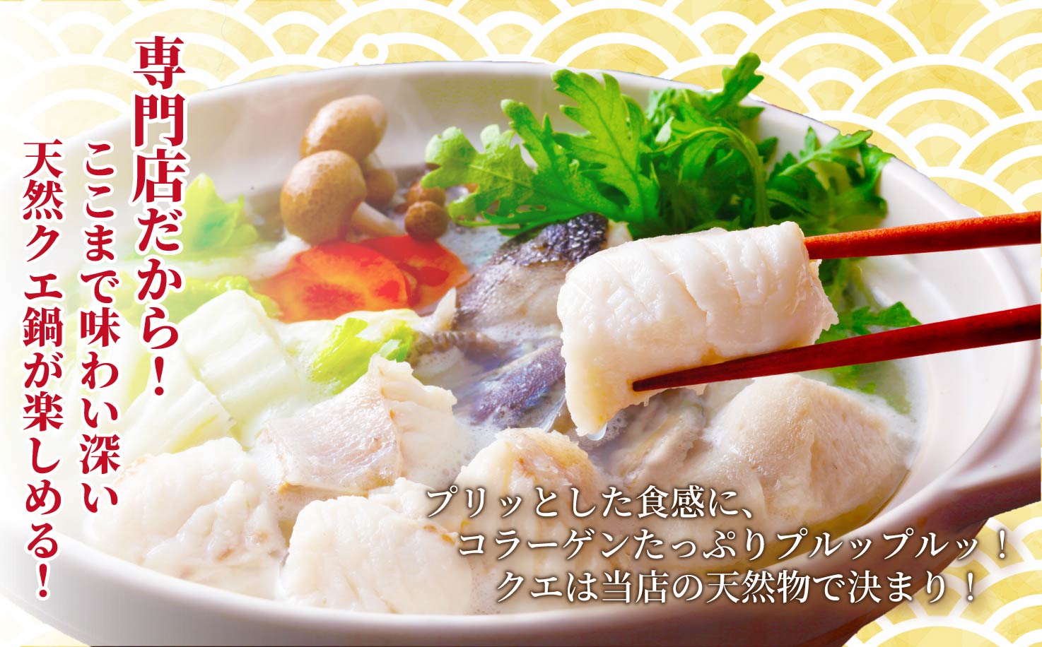 【長崎俵物】長崎産天然クエ鍋(クエスープ付き)
