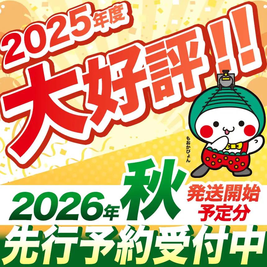 【先行予約】【500g】真岡市産 ハウス レモン