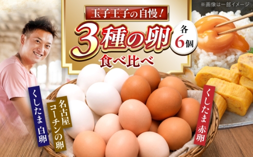 玉子 18個 3種食べ比べ（名古屋コーチン・赤卵・白卵）｜卵 たまご 食べ比べセット [BMAY009]