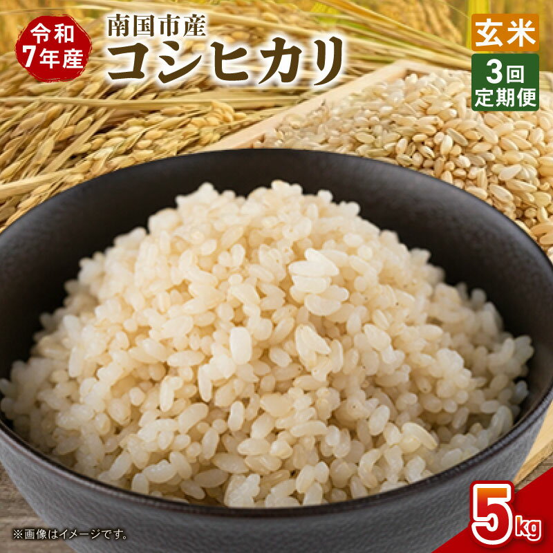 【ふるさと納税】 定期便 3ヶ月 令和7年度 南国市産 コシヒカリ 玄米 5kg 期間限定 数量限定 米 コメ お米 ご飯 おにぎり こめ 弁当 高知県 南国市