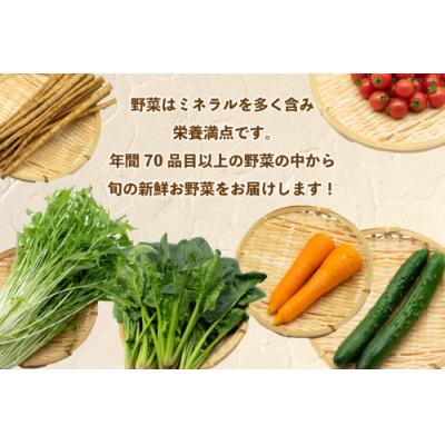 ふるさと納税 島原市 【発送月固定定期便】【10〜12月限定出荷】こむたの旬の野菜(8〜10品目)おまかせMセット全3回 |  | 02