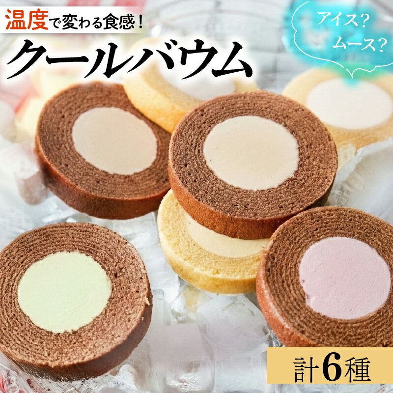 【ふるさと納税】 クールバウム アソートセット ｜ 6種類 バニラ / ショコラ / フロマージュ / コーヒー / ピスタチオ / フランボワーズ ） バームクーヘン スイーツ アイス 洋菓子 プレゼント 人気 おすすめ ふるさと納税 京都 八幡 パティスリーナチュールシロモト