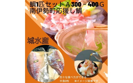 鯛 タイ 1尾分 300g～400g 真鯛 刺身 お刺身 刺し身 海鮮 魚介 海鮮 鯛めし 鯛鍋 鯛しゃぶ 煮付け 高級魚 お取り寄せ 贈り物 産地直送 国産 三重県 南伊勢 伊勢 志摩 8000円 8千円