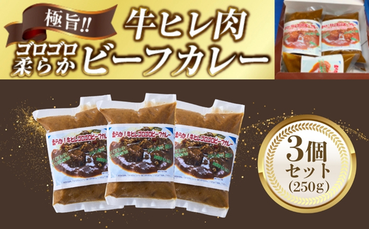 極旨!柔らか牛ヒレ肉ゴロゴロ贅沢ビーフカレー3食セット ごろっと食感 本格カレー 牛肉 ヒレ肉 牛ヒレ肉 国産牛 ビーフカレー ごろごろ 柔らか 濃厚 旨みたっぷり カレー 牛ヒレカレー ヒレ肉カレー