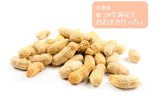 
殻つき生落花生 おおまさり 2kg / 俵農園 / 豆 から付き おつまみ
