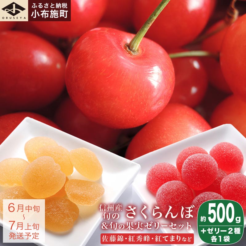 【ふるさと納税】旬のさくらんぼ 約500g ＆ 旬の果実ゼリーセット［小布施屋］ サクランボ くだもの 果物 フルーツ 長野県産 信州産 数量限定 バラ詰め チェリー ゼリー ブラムリー チェリーキッス 詰合せ 詰め合わせ ギフト 令和7年産【2025年6月中旬～7月上旬発送】