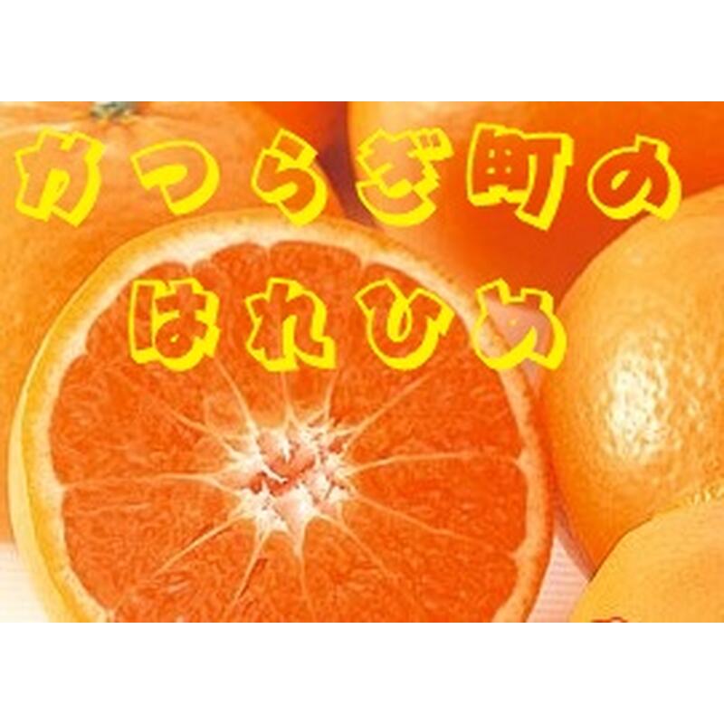 【ふるさと納税】 希少品種！みかんの甘味とオレンジの香り！ はれひめ(約10kg)【2026年12月上旬〜2027年2月上旬頃順次発送】