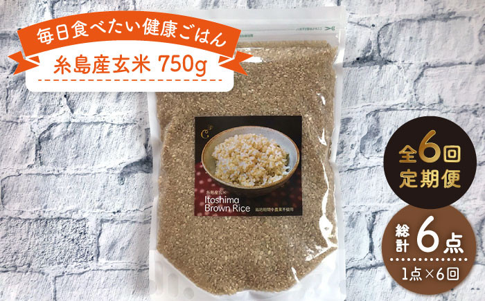 
                  【 全6回 定期便 】 糸島産 玄米 《糸島》 【Carna】 [ALA045]
                