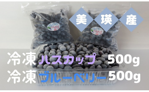 [016-50]びえいハスカップファーム　美瑛産冷凍ハスカップ500g・冷凍ブルーベリー500g