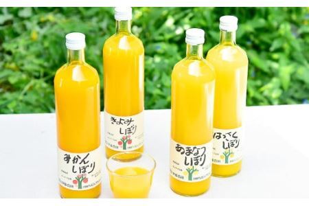 伊藤農園 5種みかんジュース大瓶（750ml）9本セット(B79-2)