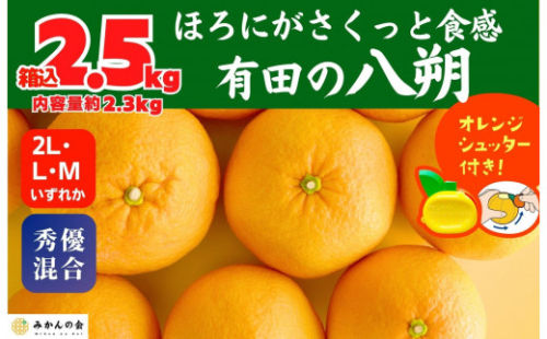 八朔 (はっさく)  玉ぞろい 箱込 2.5kg(内容量約 2.3kg) 2L L Mサイズのいずれか 秀品 優品 混合和歌山県産  産地直送［おまけ付き］［みかんの会］