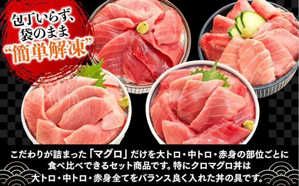 福岡市グルメ糸島海鮮堂の黒まぐろ食べ比べ4食セット | 福岡県 福岡市 福岡 九州 返礼品 お取り寄せグルメ 取り寄せ グルメ 食品 お取り寄せ 魚介類 魚介 海産物 海の幸 まぐろ マグロ 食べ比べ
