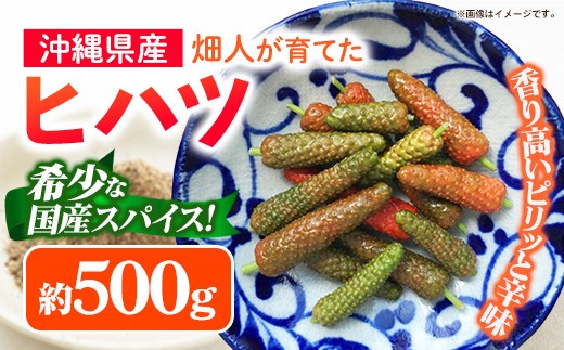 
                  【先行受付・2026年発送】畑人のヒハツ 約500g - ピパーチ ロングペッパー ヒバーチ ナガコショウ フィファチ 国産 沖縄県産 先行予約 スパイス 香辛料 おすすめ 送料無料 八重瀬町
                