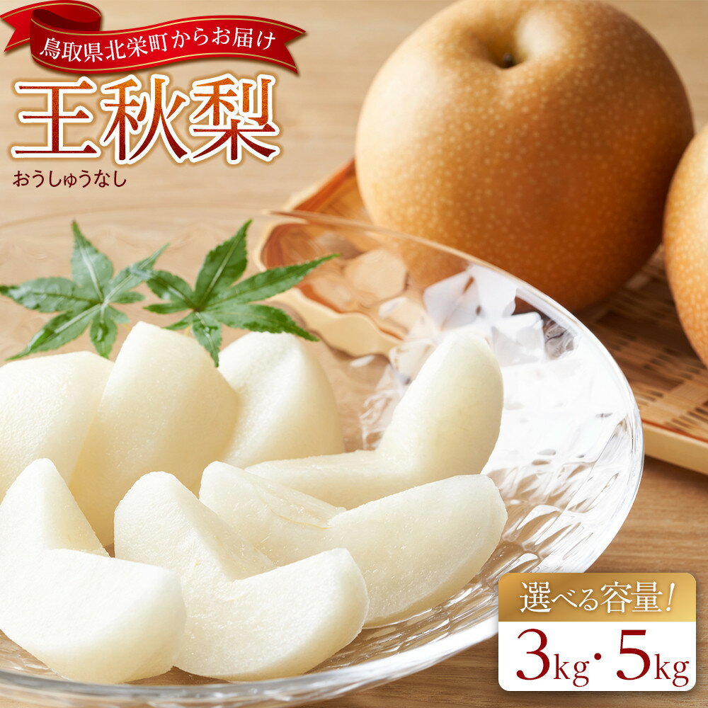 【ふるさと納税】【先行予約】＜選べる容量＞ 梨 王秋梨 3kg 5kg 鳥取県産 ※2026年10月下旬～12月上旬頃に順次発送予定 | 先行予約 梨 なし カロリー 果物 フルーツ くだもの 栄養 効能 ビタミン 鳥取県 鳥取 北栄町 おすすめ 人気 送料無料　