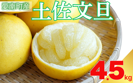 土佐文旦 約4.5kg 文旦 エニシトラス
