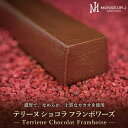 【ふるさと納税】究極のデザートチョコレート【テリーヌショコラフランボワーズ】 | 富山 ふるさと 納税 支援 支援品 返礼品 返礼 特産品 名産 特産 名産品 お取り寄せスイーツ スウィーツ ショコラテリーヌ ショコラ チョコ テリーヌ フランボワーズ チョコレート ギフト