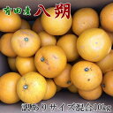 【ふるさと納税】【手選果・訳あり】有田産の八朔10kg（サイズ混合）＜2025年1月下旬～2025年2月下旬頃発送予定＞（お届け日指定不可）