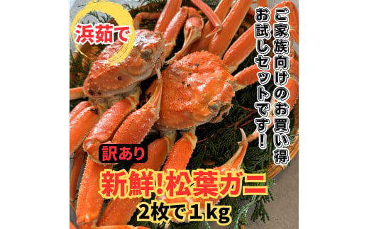 【22025】鳥取網代港【訳あり】浜茹で！松葉ガニ1kgセット 岩美 松葉がに ずわいがに かに カニ 日本海【さかなや新鮮組】