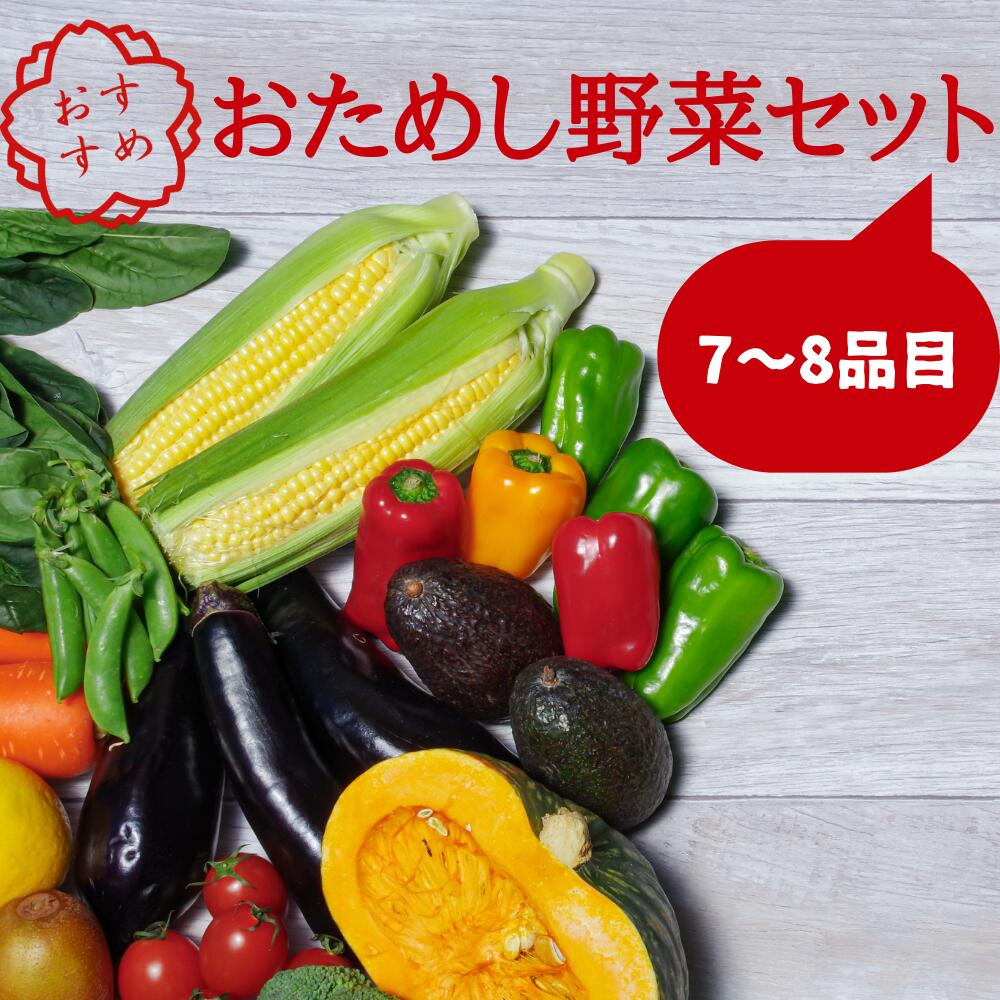 野菜 お試し 野菜セット お楽しみ 旬 新鮮 詰め合わせ 7～8品 果物 フルーツ ギフト 直送 農家 おまかせ お取り寄せ 産直直送 産直 冬 春 サラダ 詰合せ りんご きのこ
