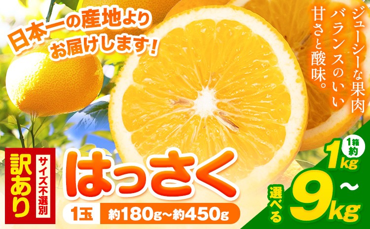 
            訳あり/ご家庭用 紀の川市産 はっさく お試し!約1kg 約4kg 約9kg (4L~Sサイズ サイズ不選別) 早生･晩生指定不可《2月上旬-3月中旬に出荷予定(土日祝除く)》和歌山県 紀の川市 産地直送 みかん 八朔 柑橘 果物 フルーツ ご家庭用 ビタミンC
          