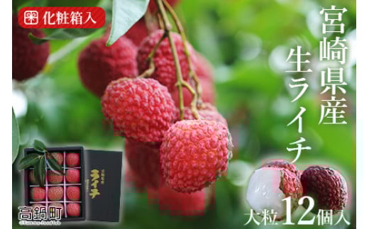【先行予約】＜宮崎県産ライチ大粒12個入り＞2026年7月中に順次出荷 ライチ フルーツ 果物 宮崎県 高鍋町