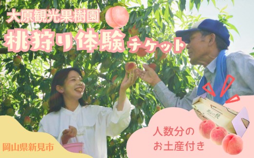 
                  桃狩り体験チケット（桃お土産付き） 大原観光果樹園 岡山県新見市
                