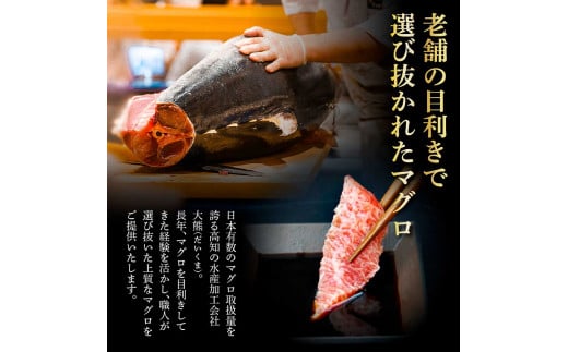 本鮪 中トロ500g・赤身200g 合せて700g セット