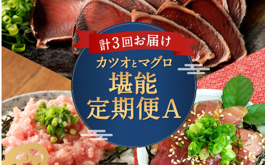 【3回定期便】カツオとマグロ堪能定期便A お楽しみ 切り落とし 刺身 刺し身 鮪 カツオのたたき ネギトロ 海鮮 魚 惣菜 海産物 魚介類 まぐろ まぐろたたき 海産物 冷凍 高知県 緊急支援品 訳あり 鰹 切り落とし 不揃い 傷 規格外 故郷納税 送料無料