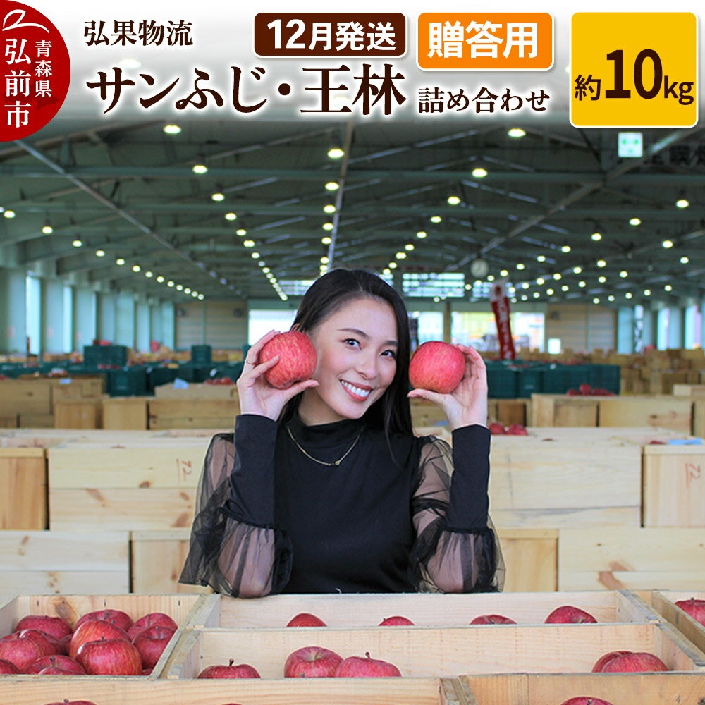 【ふるさと納税】りんご【12月発送】贈答用 サンふじ・王林 詰め合わせ 約10kg