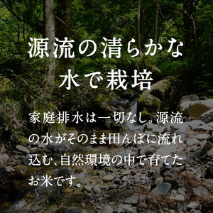 令和8年産 新米 先行予約 鳥取県日南町産コシヒカリ 10kg(5kg×2) 新屋のひとしずく ～野組450～ 米 お米 おこめ 精米 こしひかり