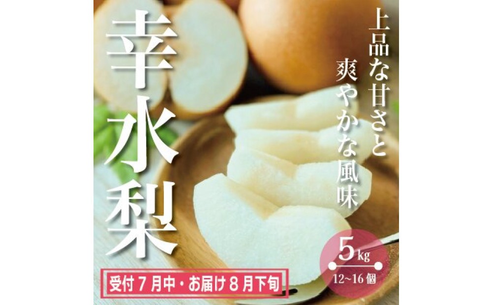 
                  梨（幸水）（5kg／12～16個）
                