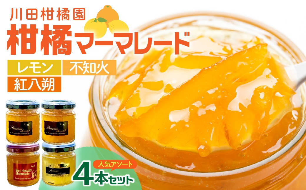 
                  島の恵み 瀬戸内 柑橘 マーマレード 4本セット 食べ比べ セット 紅八朔 レモン しらぬい ジャムセット シトラス お取り寄せグルメ 送料無料 広島県 呉市 パン ヨーグルト サワードリンク お肉料理にも
                