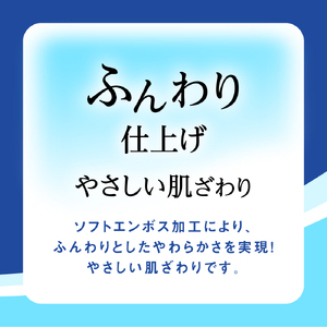 No.160 【シングル】エリエール　トイレットティシュー12ロール×6パック ／ トイレットペーパー ティッシュ 大容量 やわらかめ 柔らかめ やわらかい 柔らかい 香り付き 香りつき 埼玉県