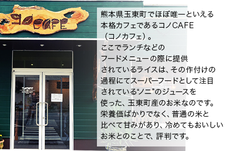 令和5年産  ひのひかり(ノニ米) 約5kg(5kg×1袋) コノCAFE《30日以内に出荷予定(土日祝除く)》