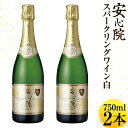 【ふるさと納税】安心院スパークリングワイン 白(計1.5L・750ml×2本)酒 お酒 ワイン 白ワイン スパークリングワイン ぶどう 葡萄【107302600】【時枝酒店】