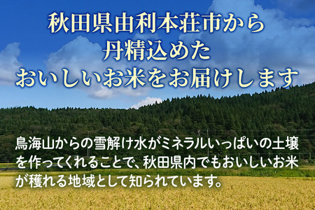 《2ヶ月定期便》令和5年産【白米】秋田県産ひとめぼれ 10kg（5kg×2袋）