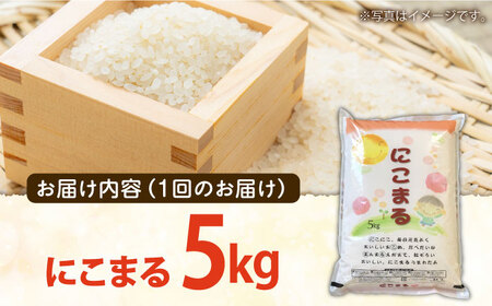 【12回定期便】 長崎県産 精米にこまる 5kg 総計60kg / 米 / 南島原市 / 大松屋商店[SDR004] こめ コメ お米 精米 5kg 米定期便 にこまる こめ コメ お米 精米 5kg