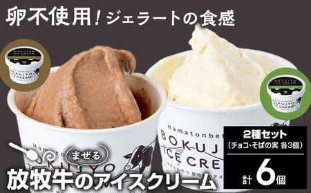 放牧牛 アイスクリーム2種（チョコ・そばの実　各3個）計6個 【池田牧場】 アイス スイーツ デザート 冷凍 卵不使用 北海道ふるさと納税