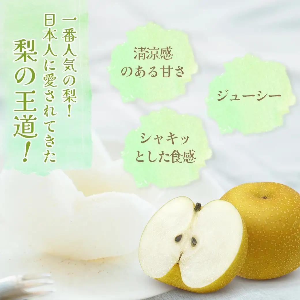 市川の梨　幸水　5kg（7～12玉）　【12203-0259】