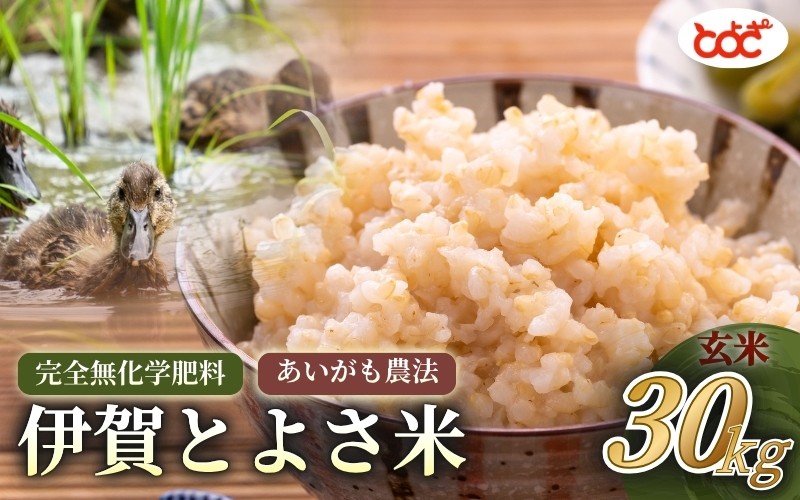 
                  完全無化学肥料　あいがも農法　伊賀とよさ米【玄米】30kg
                