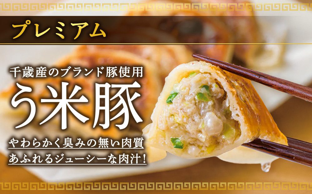 北海道餃子天のびろく プレミアム12粒入 3箱