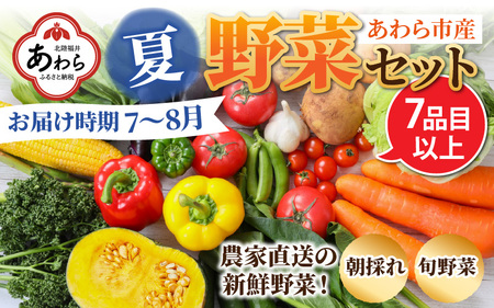 【先行予約】農家直送 夏野菜セット 1箱 7品目以上 《元気に育った新鮮野菜！》／ 季節 夏 野菜 ボックス BOX セット セレクト 農家 おまかせ 多品目 旬 詰め合わせ ※2025年7月中旬以降発送