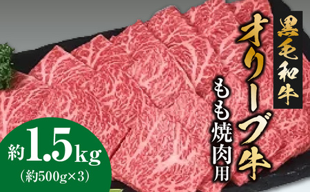 黒毛和牛オリーブ牛 もも焼肉用 約500ｇ×3_M18-0026