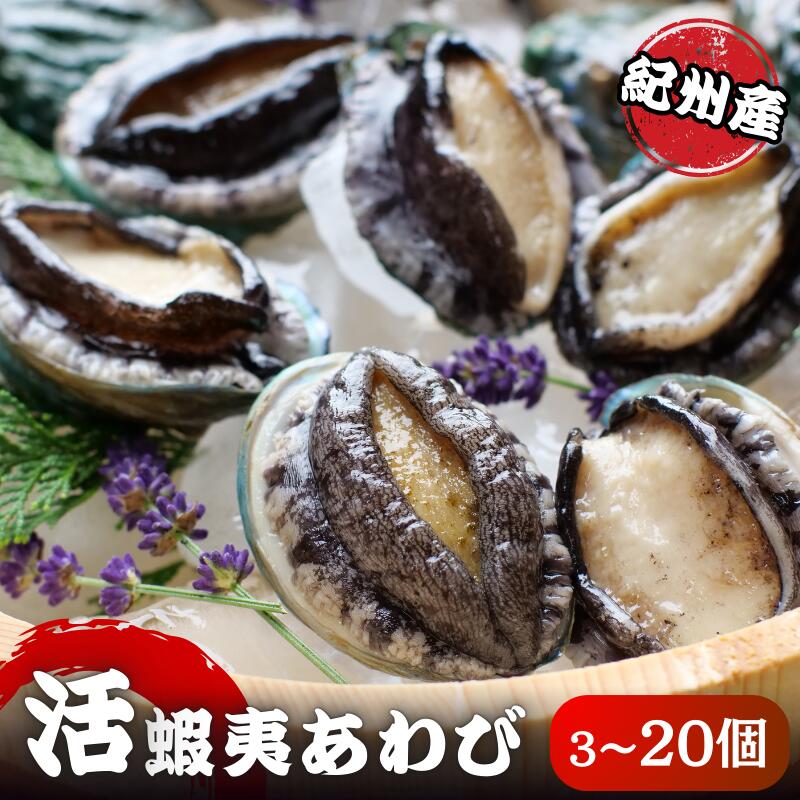 【ふるさと納税】 極上！紀州蝦夷鮑 3個～20個 五つ星旅館にも出荷される極上アワビ＜配達日指定OK＞