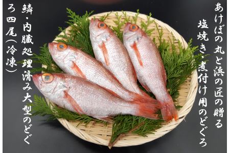 山陰浜田港あけぼの丸の塩焼き・煮付け用大型のどぐろセット（冷凍）【146_2028】