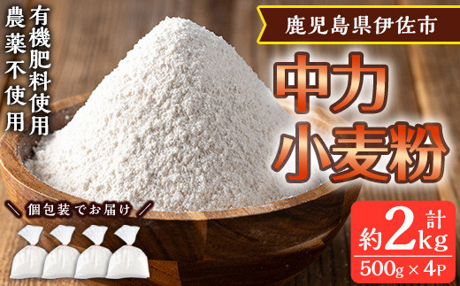 
                  isa479《毎月数量限定》あんしん小麦粉・中力粉(約500g×4袋・計約2kg）小麦粉 小麦 中力粉 中力小麦粉 鹿児島県 伊佐市 お菓子作り 料理 有機肥料 農薬不使用【しげふみファーム】
                