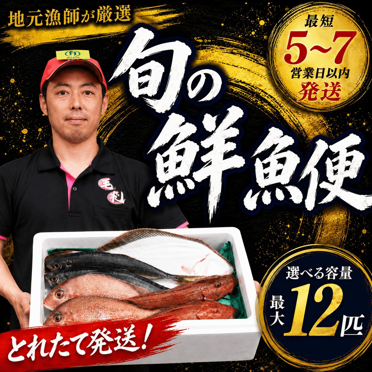【ふるさと納税】 鮮魚 旬 獲れたて セット 選べる容量 鮮魚便 海鮮 魚貝類 魚介類 牡蠣 イカ 刺身 岩手 大船渡 詰め合わせ 鮮魚ボックス さかな おさかな 魚 海の幸 福袋 FISH BBQ ごはん 夕飯 おかず おつまみ 晩酌 米 丼 三陸産 岩手県 大船渡市